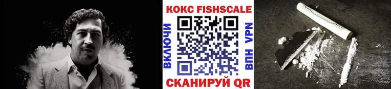 КОКАИН FishScale  ссылка на мегу зеркало  Губаха  наркота 