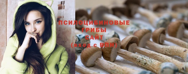 герыч Дмитров