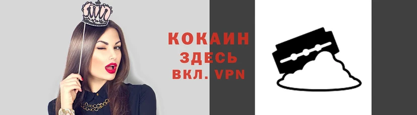 ALPHA PVP Дмитриев