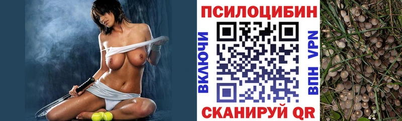 мега как зайти Губаха Галлюциногенные грибы GOLDEN TEACHER закладка