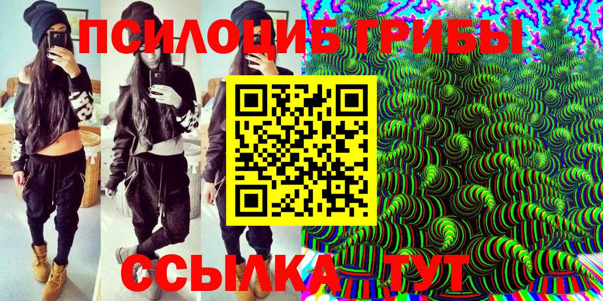 Губаха  Галлюциногенные грибы GOLDEN TEACHER  Вход с VPN 