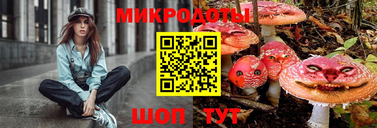 Псилоцибиновые грибы мухоморы  Псилоцибиновые грибы Psilocybe  Губаха 