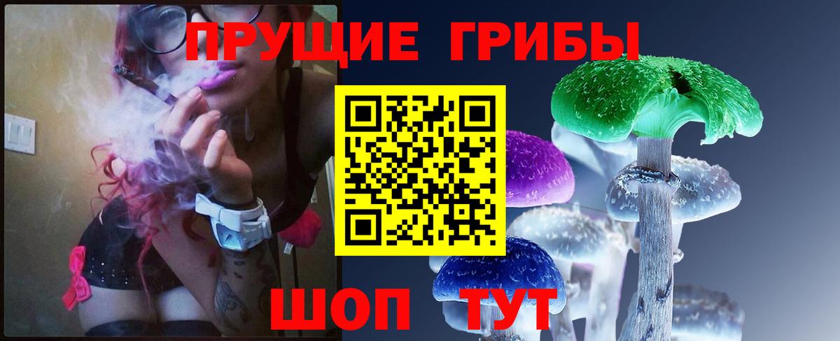 Галлюциногенные грибы прущие грибы Губаха