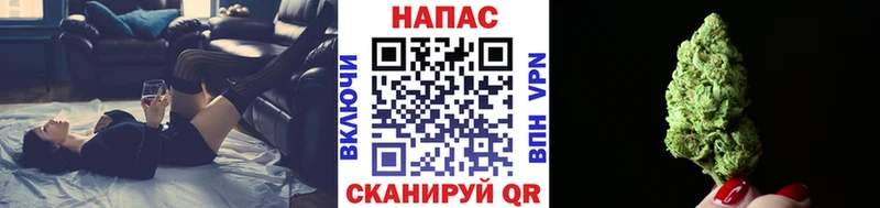 мега зеркало  закладка  Губаха  Канабис сатива 