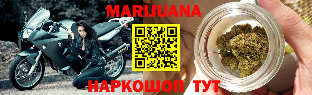 Конопля марихуана Губаха